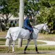 Horseware Flyrider insect rijdeken
